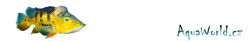 logo Aauaworld.cz